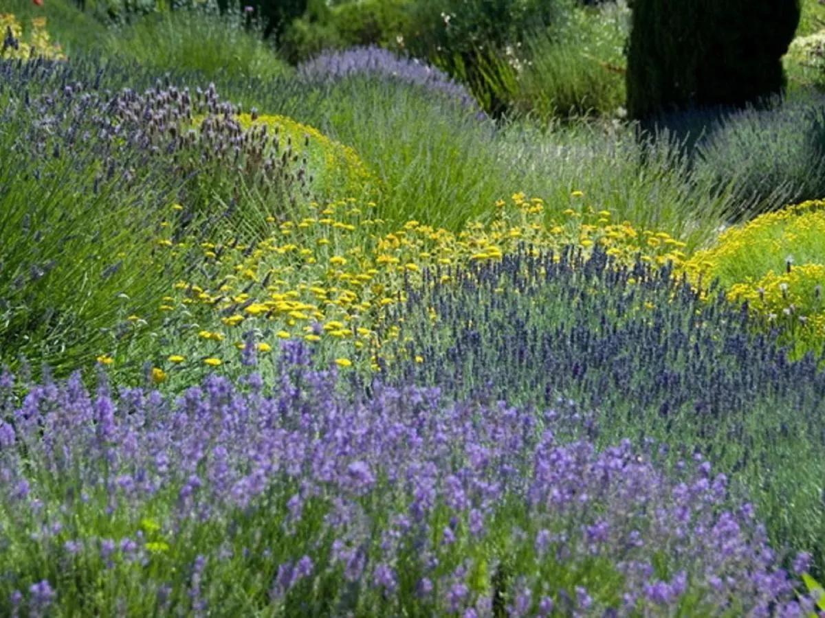 Holiday Home In A Nature Reserve In Beaulieu Beaulieu